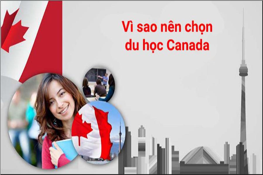 Vì sao nên chọn du học Canada avata