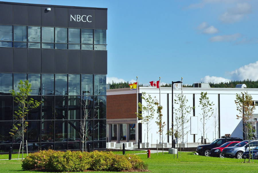 Du học Canada yêu cầu đầu vào tại trường New Brunswick